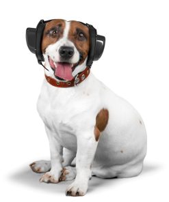 kleiner gehörschutz für hunde von BOLLSEN